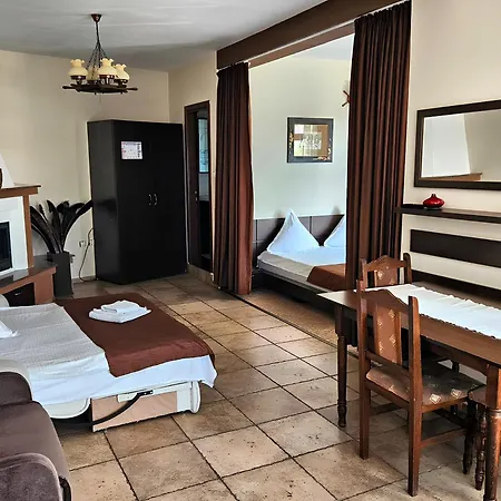 Pensiunea Andrei Moieciu Guest house 4*