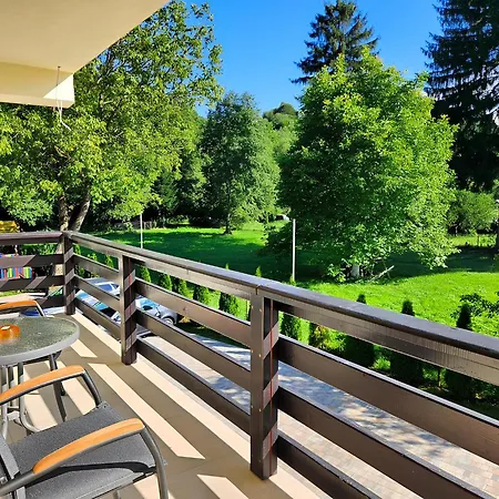 Guest house Pensiunea Andrei Moieciu 4*